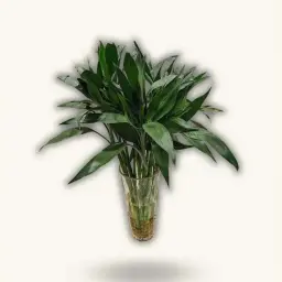 A Gift From Asia - A Bamboo Vase